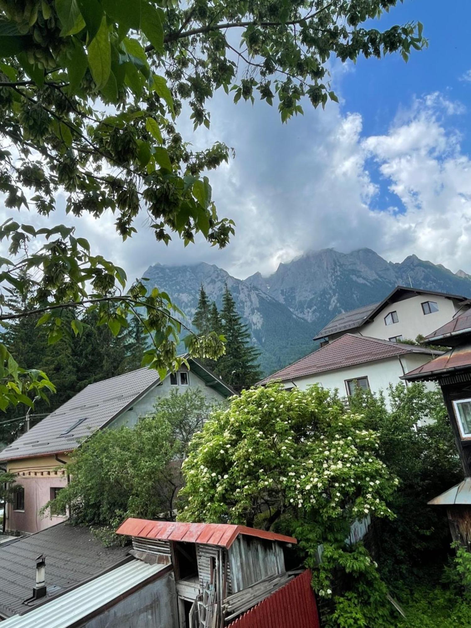 Constantinescu A. Hotel บุชเตนี ภายนอก รูปภาพ